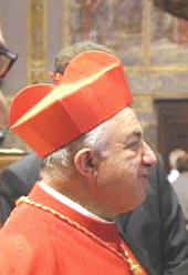 Cardinale Dionigi Tettamanzi