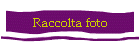 Raccolta foto