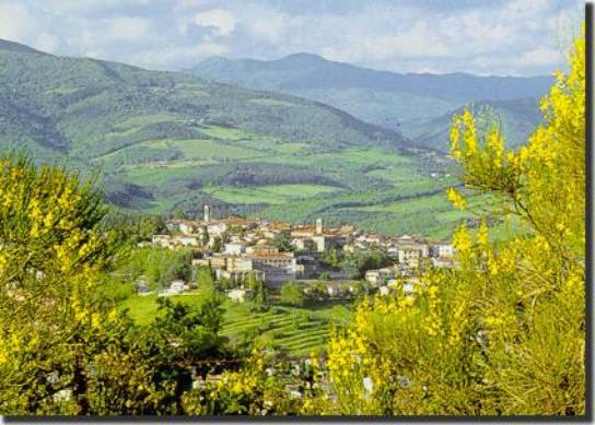 Propositura S. Ippolito M. Bibbiena