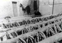 Essiccazione delle 'minnule'