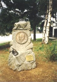 pmsp2.jpg (17444 byte)