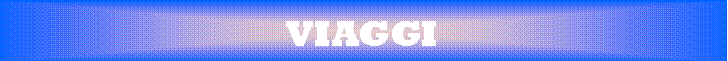 Casella di testo: VIAGGI