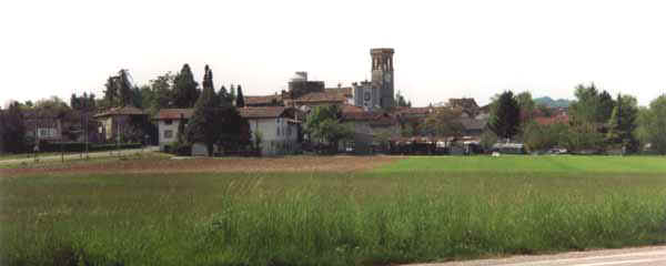 Olei011.JPG (12296 byte)