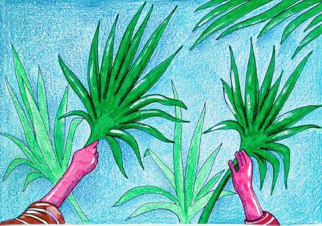 6 2 Palme.jpg (69395 byte)