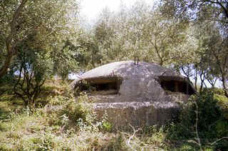 Alb02 002.jpg (34541 byte)