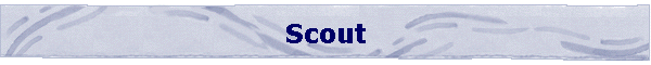 Scout