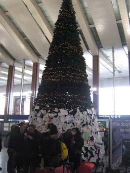 Immagine 655