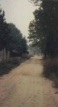 via madonna di caravaggio