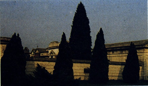 NERI CIPRESSI CIRCONDANO I LATI DEL CIMITERO DI CANZO