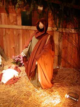 Particolare - S. Giuseppe