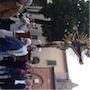 Processione1