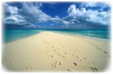 Parrocchia Santi Protomartiri