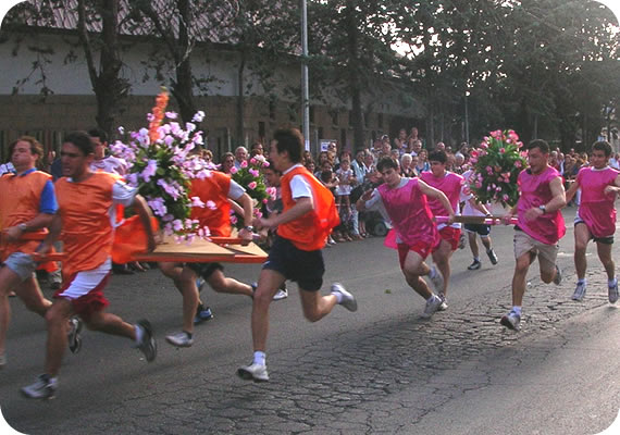 550x378 pixels (68K)