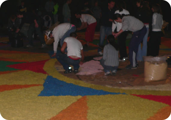 550x378 pixels (30K)