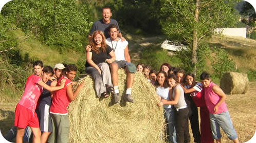 478x256 pixels (62K)