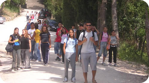 478x256 pixels (45K)