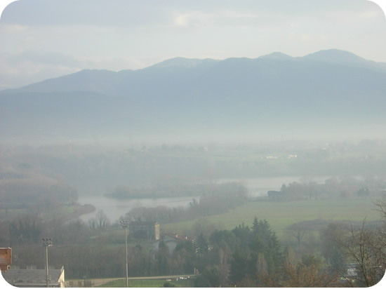 530x390 pixels (27K)