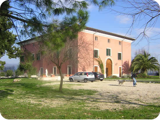 530x390 pixels (74K)