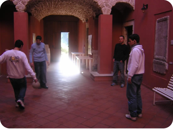 530x390 pixels (36K)