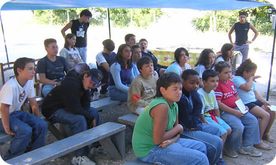 530x308 pixels (54K)