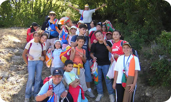 530x308 pixels (70K)