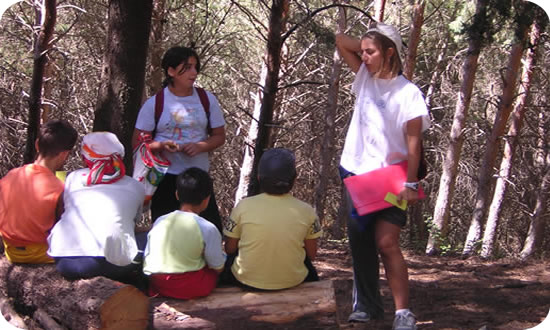 530x308 pixels (68K)