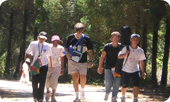 530x308 pixels (47K)