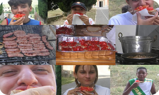 530x308 pixels (55K)