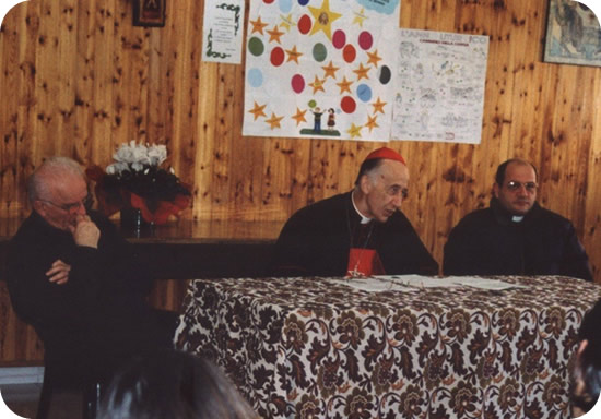 530x362 pixels (64K)