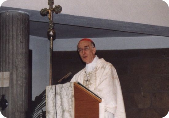 530x362 pixels (39K)