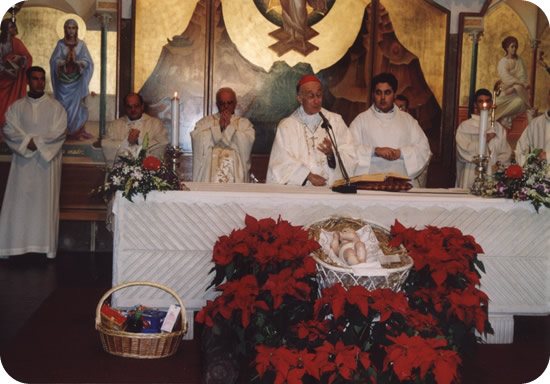 530x362 pixels (63K)