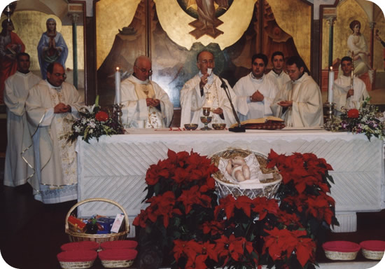 530x362 pixels (66K)