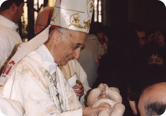 530x362 pixels (42K)