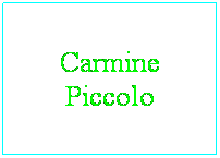 Casella di testo: Carmine Piccolo

