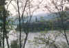 ms11.jpg (150148 byte)