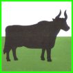 rione la macchia