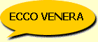 ECCO VENERA ...